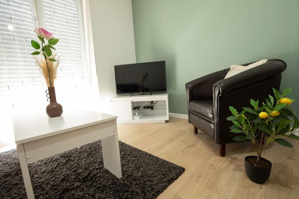New Appartement Proche Gare Et Centre-Ville Colmar Ngoại thất bức ảnh