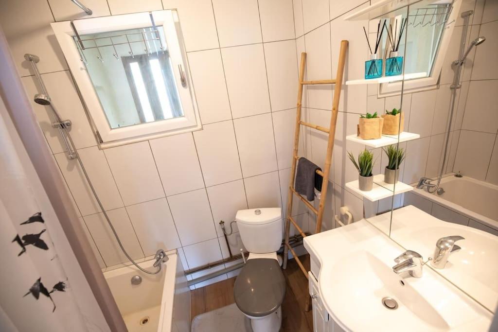 New Appartement Proche Gare Et Centre-Ville Colmar Ngoại thất bức ảnh