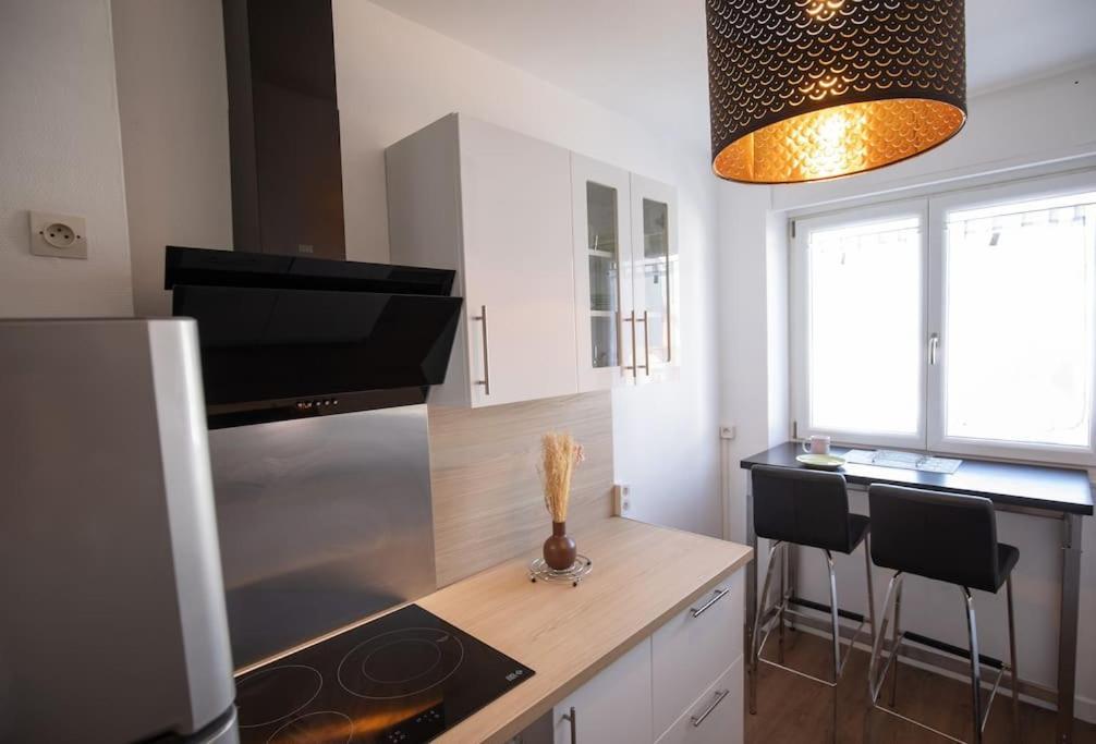 New Appartement Proche Gare Et Centre-Ville Colmar Ngoại thất bức ảnh